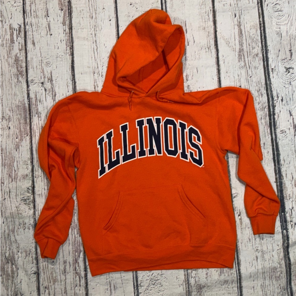 Vintage Illinois Fighting Illini Y2K Early 2000's Collegiate Sweatshirt